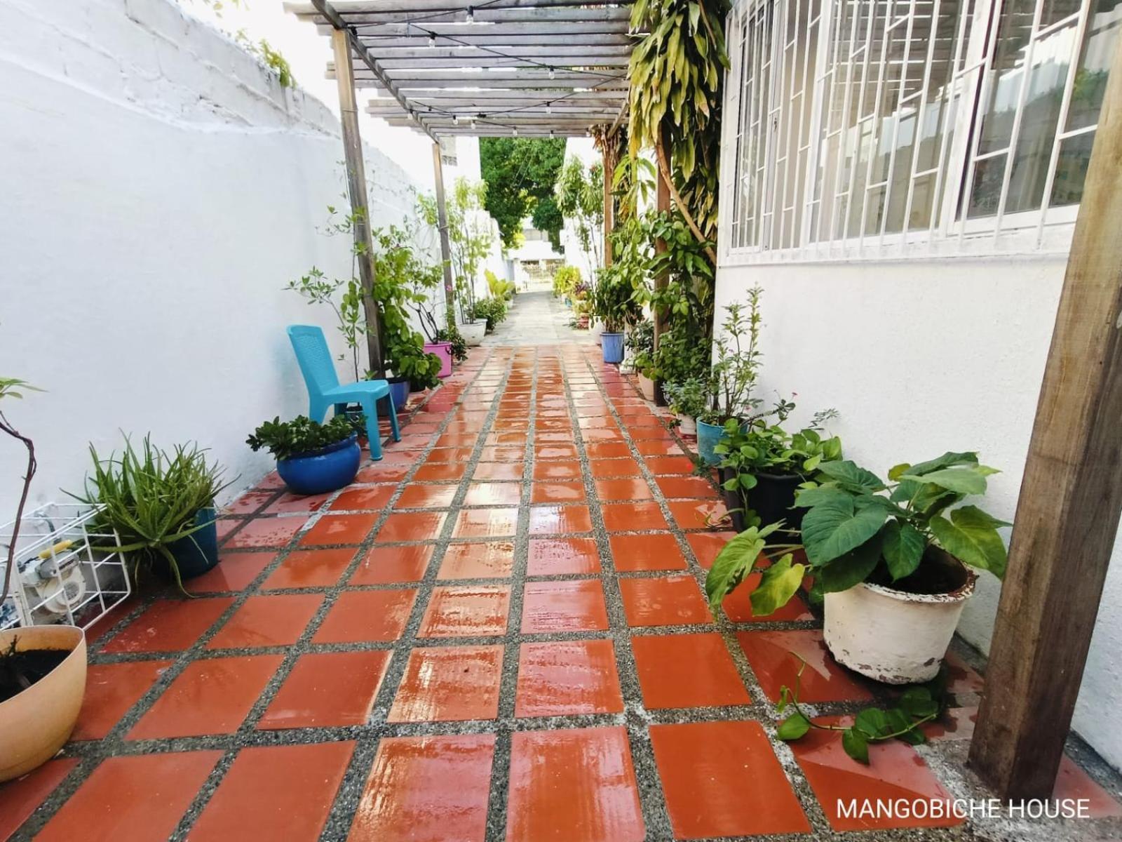 Mango Biche - House Bed and Breakfast Cartagena Buitenkant foto